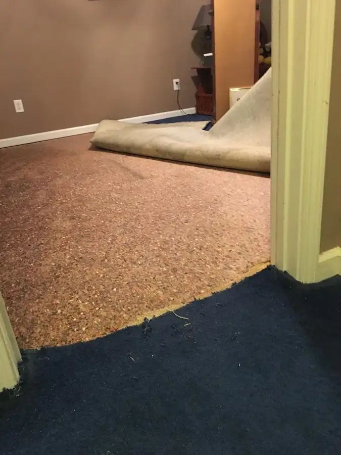 Carpet pad removal revealing water damage during Drying & Dehumidification in Dunkirk