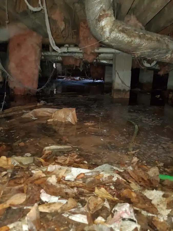 Crawl space flood assessment for Leak Detection & Repair in Dunkirk