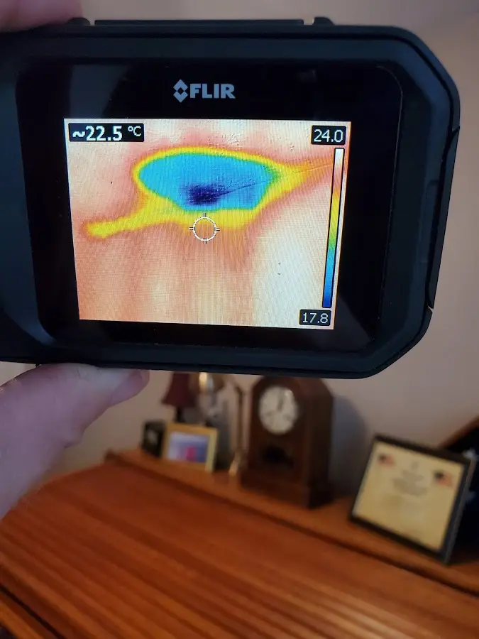 Thermal imaging inspection for water damage in Dunkirk